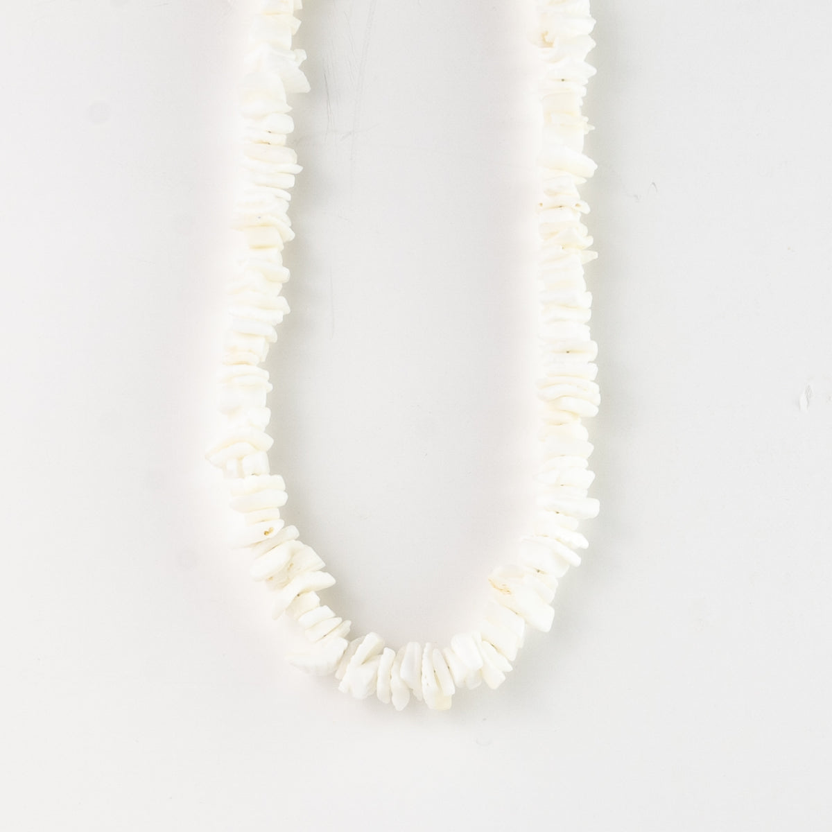 Puka Muschelkette