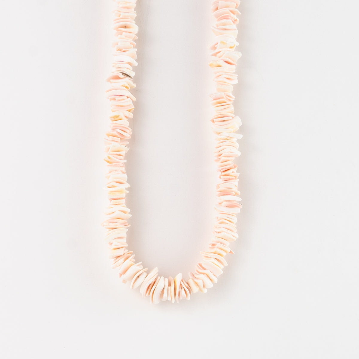 Puka Muschelkette